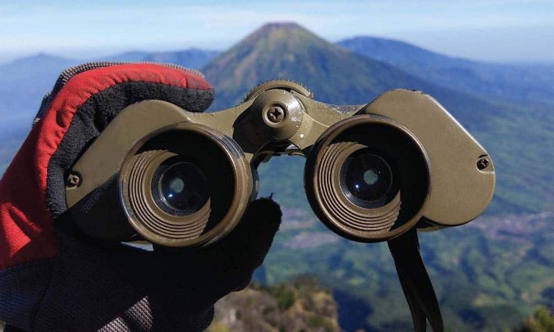 See Clearly in the Wilderness: Why the Viper HD 12x50 Binoculars Are a Must-Have for Outdoor Enthusiasts