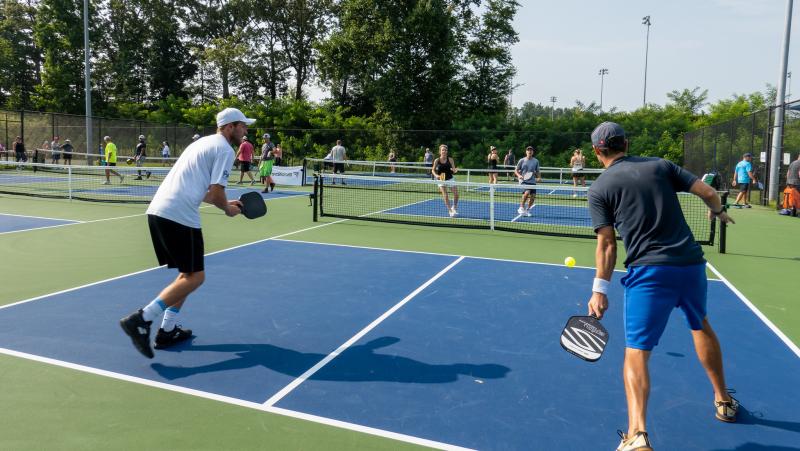 Seeking A Winning Pickleball Paddle: Monarch’s Dragon Slayer Lives Up to the Hype