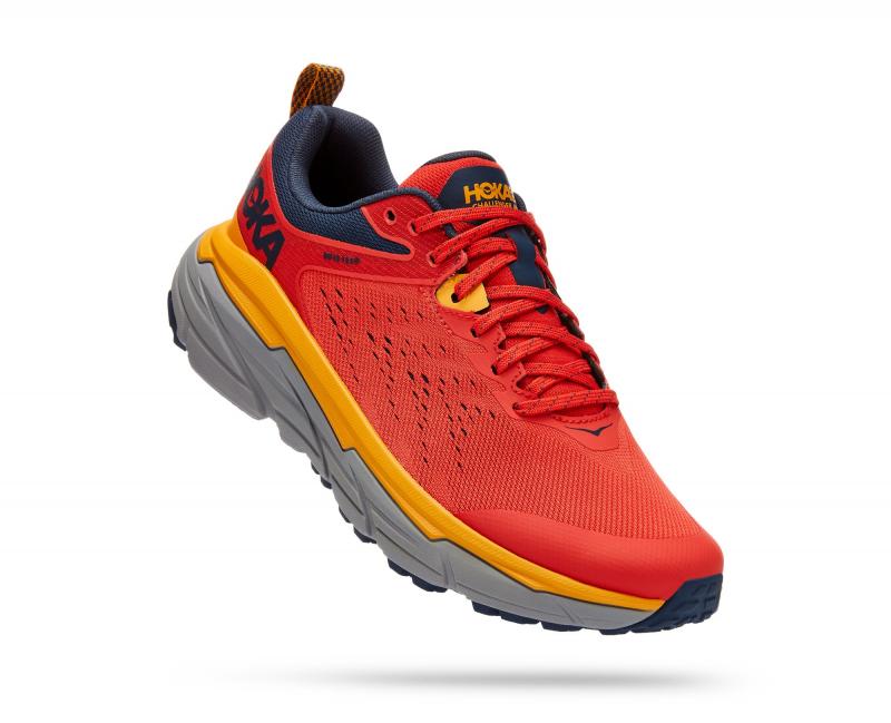 Seeking Excellent Cushioning for Long Runs. Hoka Challenger 6 Review