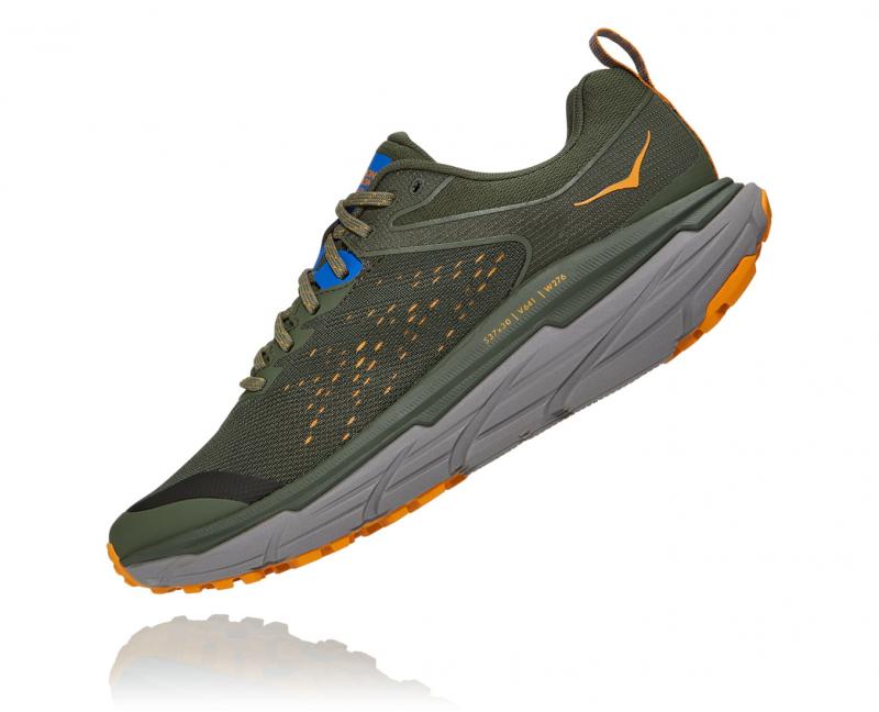 Seeking Excellent Cushioning for Long Runs. Hoka Challenger 6 Review