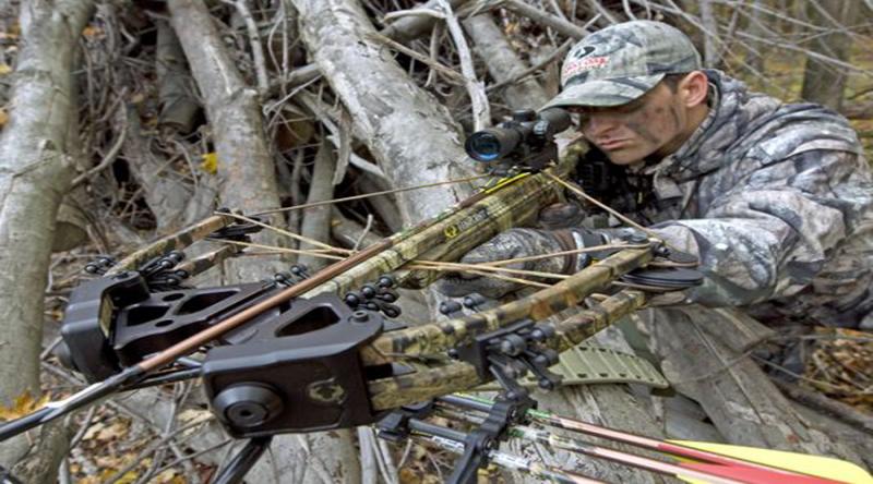 Seeking Superior Crossbows in 2023: 15 Must-Know Tips for Finding Top-Notch Ravin Crossbows