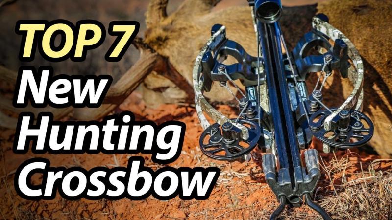 Seeking Superior Crossbows in 2023: 15 Must-Know Tips for Finding Top-Notch Ravin Crossbows