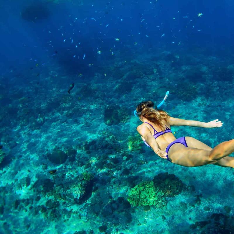 Seeking The Best Snorkel Swimwear in 2022. Find Here The Top Snorkeling Swimsuits For Optimal Adventure