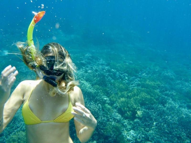 Seeking The Best Snorkel Swimwear in 2022. Find Here The Top Snorkeling Swimsuits For Optimal Adventure