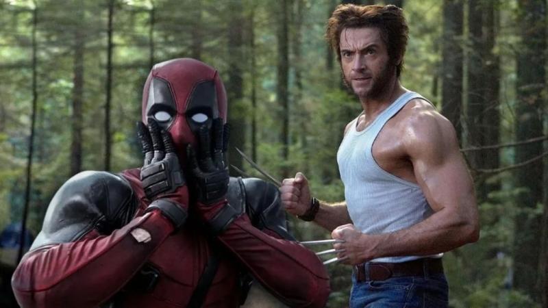 Seeking The Best Wolverine Work Vest For Men: 15 Key Features To Look For In 2023