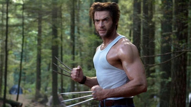 Seeking The Best Wolverine Work Vest For Men: 15 Key Features To Look For In 2023