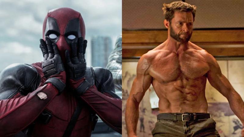 Seeking The Best Wolverine Work Vest For Men: 15 Key Features To Look For In 2023