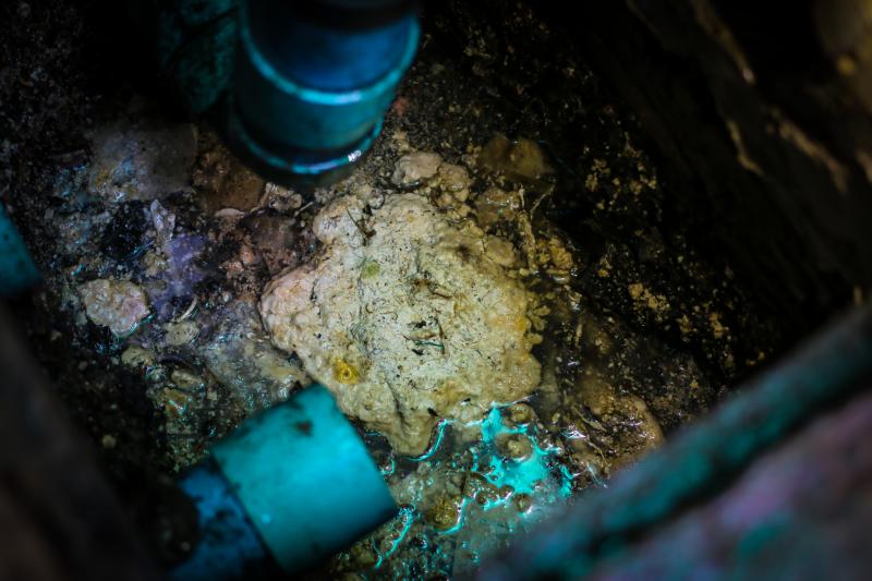 Sewer Backup Ruined Your Home. 15 Tips to Restore and Prevent