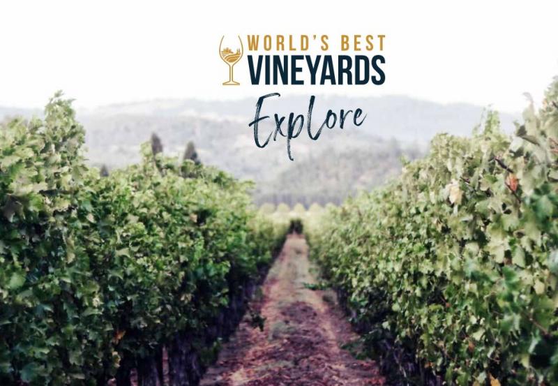 Should You Buy Vines Vineyard Stuff This Year: The Top 15 Things You Need to Know About Vineyard Vines