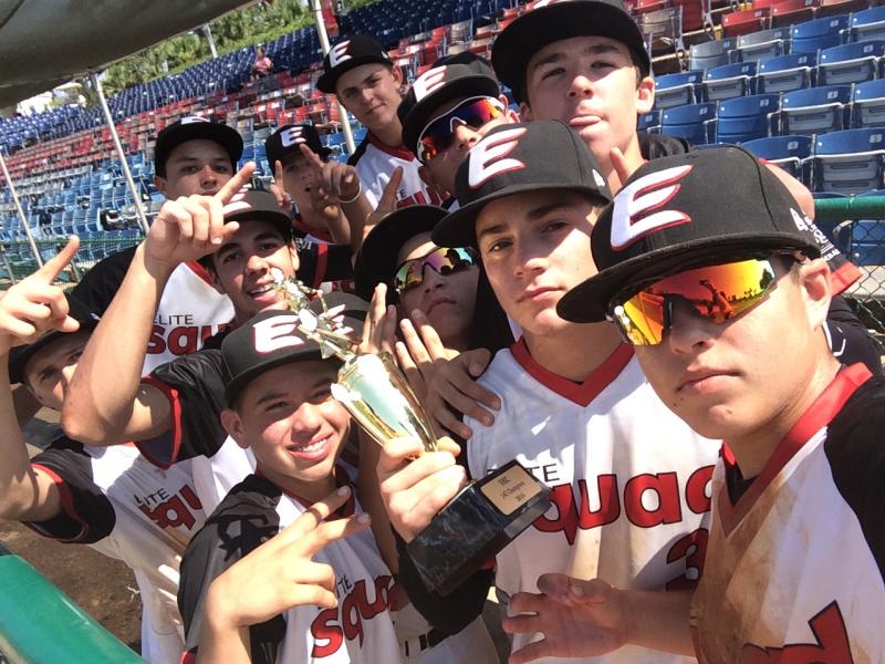 Should You Swing 13 Impressive Rawlings 14u Baseballs. All About The Finest 14u Baseball Gear