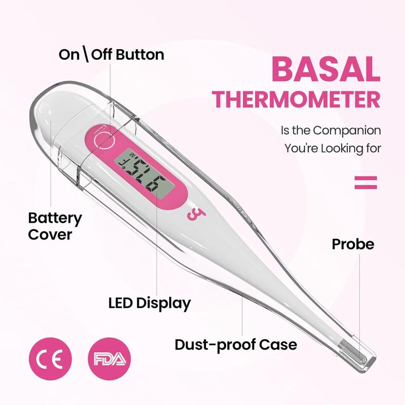 Should You Use a Small Digital Thermometer: The 15 Best Ways to Take Accurate Temperature Readings