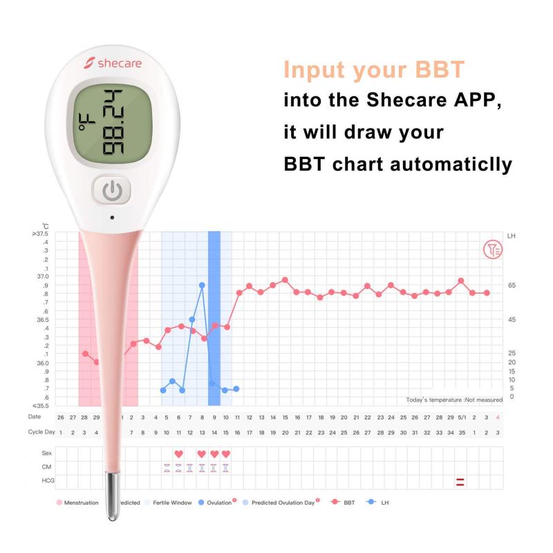 Should You Use a Small Digital Thermometer: The 15 Best Ways to Take Accurate Temperature Readings