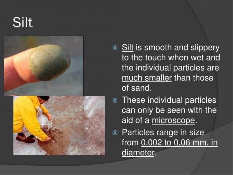 Silt, Salt or Sea: What