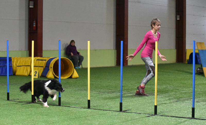 Skyrocket Your Sports Agility in Weeks: 15 Proven Agility Training Sets for Serious Athletes