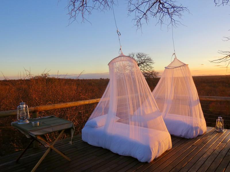 Sleep soundly outdoors this summer: Your guide to choosing the perfect mosquito netting