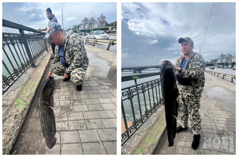 Snag More Fish With An Eagle Claw Minnow Trap. This Nonstop Action Covering You In Catfish Is How