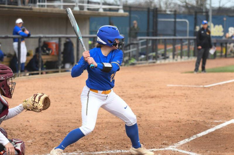 Softball Players: How to Choose the Best Gray Softball Helmet