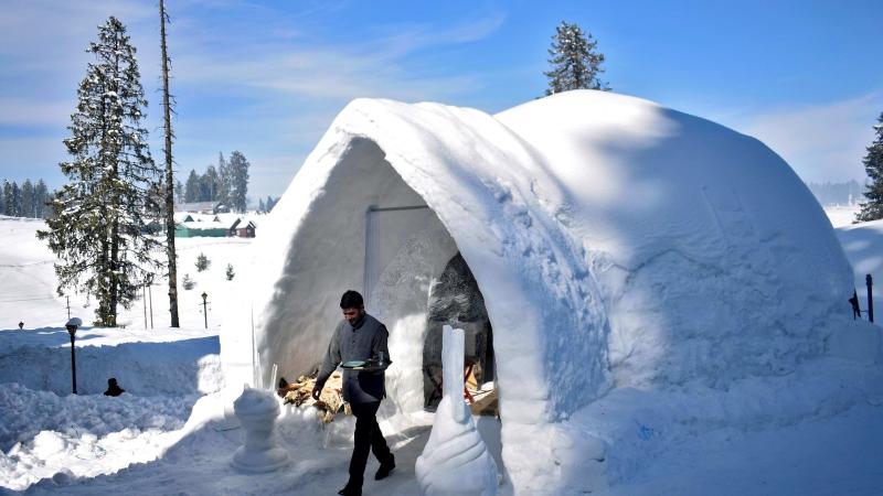 Staying Cool in the Arctic Tundra: The Only Igloo Cooler That Can Withstand Extreme Cold