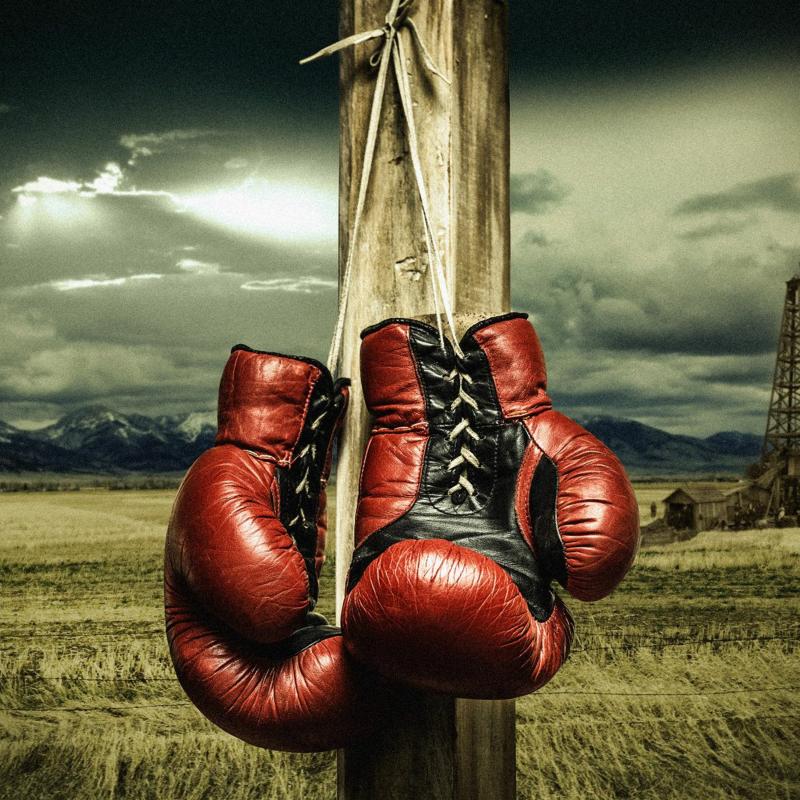 Still Searching for the Best Boxing Gloves: Discover the Powerlock Training Gloves and Unlock Your Potential