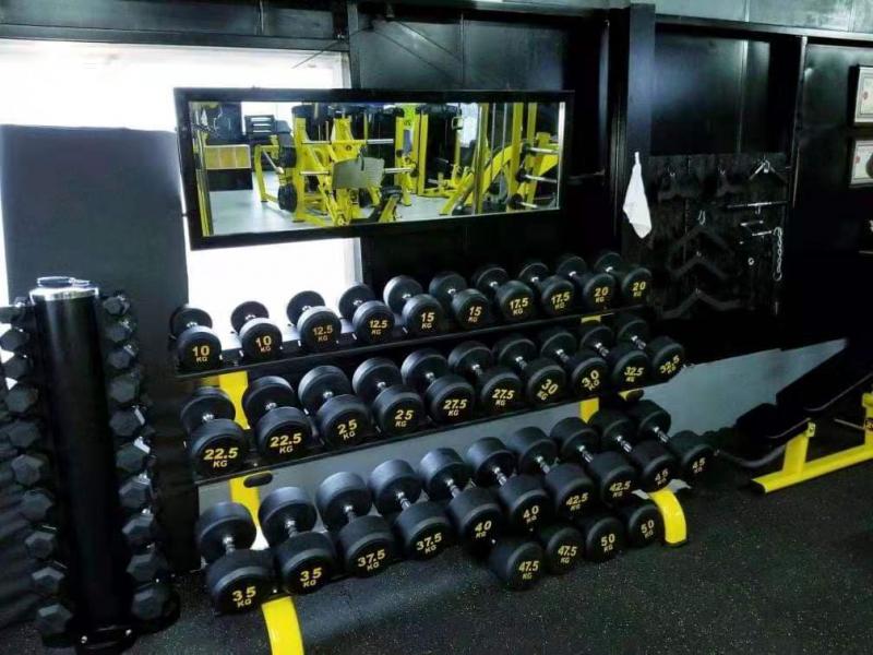 Still Struggling to Get Toned in 2023. Apex Dumbbell Rack: 15 Ways to Take Your Home Gym up a Notch