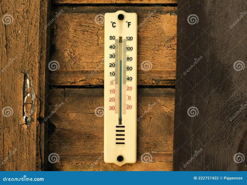 Still Using Old Thermometers. : Discover the Best Outdoor Thermometers of 2023