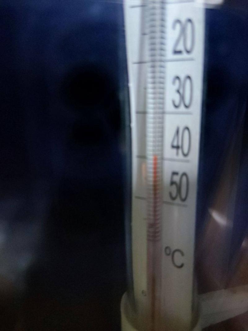 Still Using Old Thermometers. : Discover the Best Outdoor Thermometers of 2023