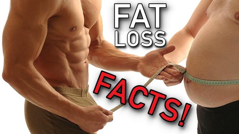 Stubborn Belly Fat Still There Despite Exercise. : How To Finally Lose It With These Secret Tips