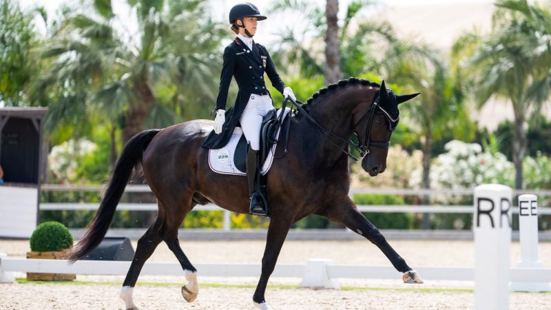 Tackle Horse Riding in Style: 15 Must-Have Features in Shoes for Equestrians