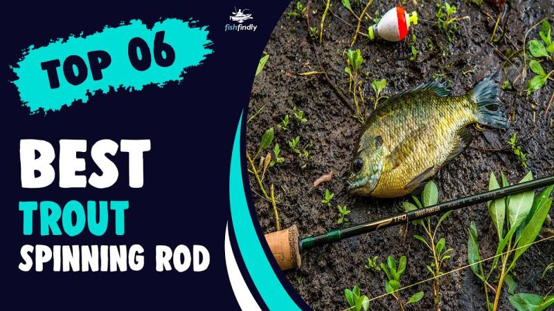 The 15 Best Trout Rod and Reel Combo Options to Catch More Fish This Year