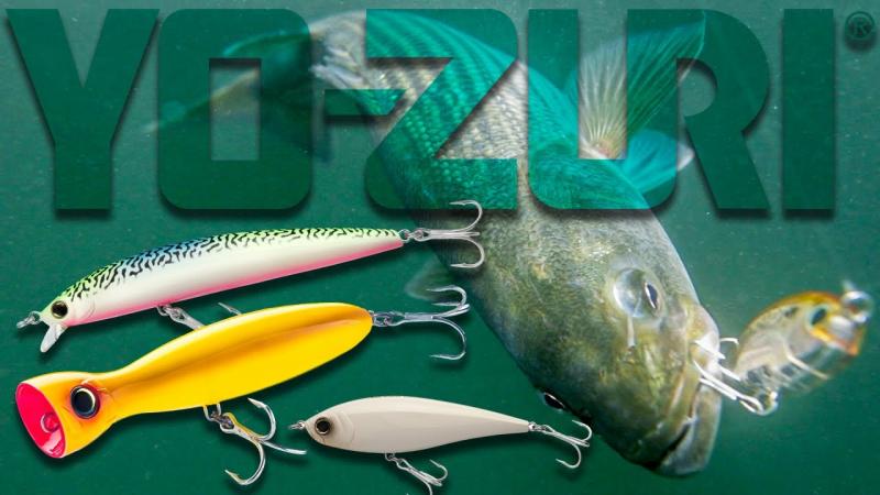 The 15 Most Effective Bass Lures to Catch More Fish This Season