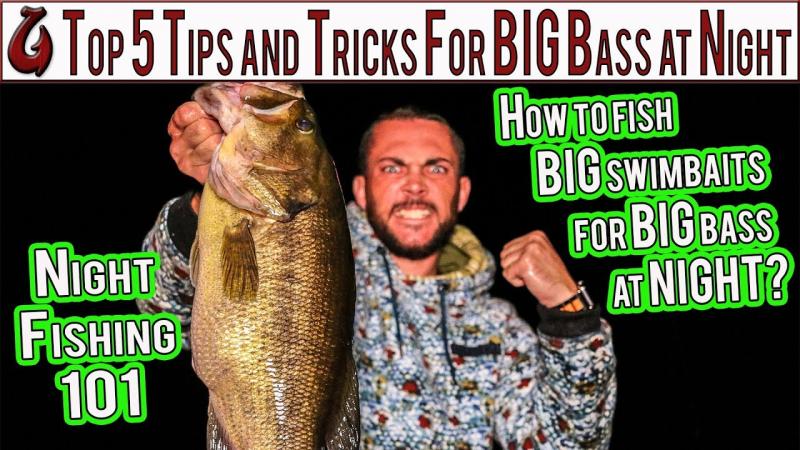 The 15 Most Effective Bass Lures to Catch More Fish This Season