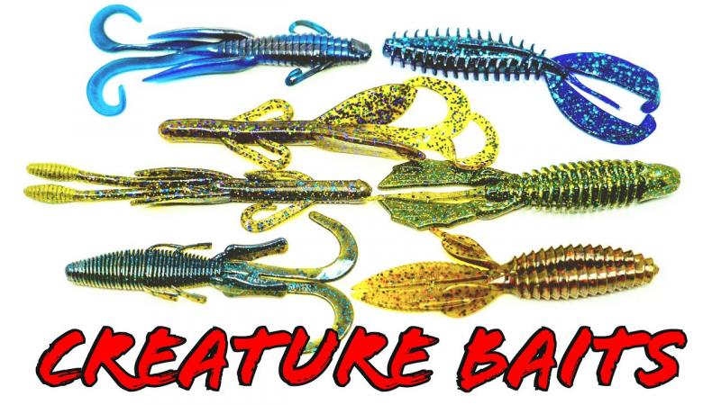 The 15 Most Effective Bass Lures to Catch More Fish This Season