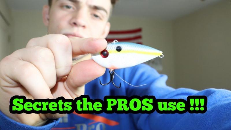 The 15 Most Effective Bass Lures to Catch More Fish This Season