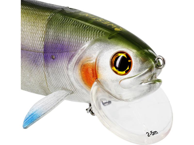 The 15 Most Effective Bass Lures to Catch More Fish This Season