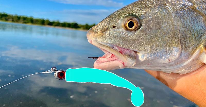 The 15 Most Effective Bass Lures to Catch More Fish This Season