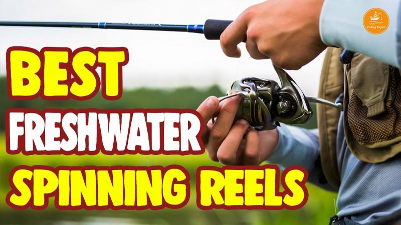 The Best Freshwater Fishing Reels to Buy This Season: How to Choose the Perfect Reel for Your Needs