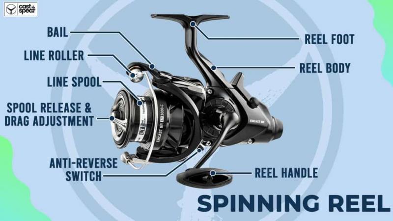 The Best Freshwater Fishing Reels to Buy This Season: How to Choose the Perfect Reel for Your Needs