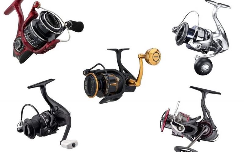 The Best Freshwater Fishing Reels to Buy This Season: How to Choose the Perfect Reel for Your Needs