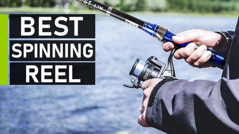 The Best Freshwater Fishing Reels to Buy This Season: How to Choose the Perfect Reel for Your Needs