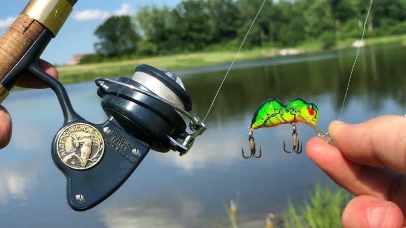 The Best Freshwater Fishing Reels to Buy This Season: How to Choose the Perfect Reel for Your Needs