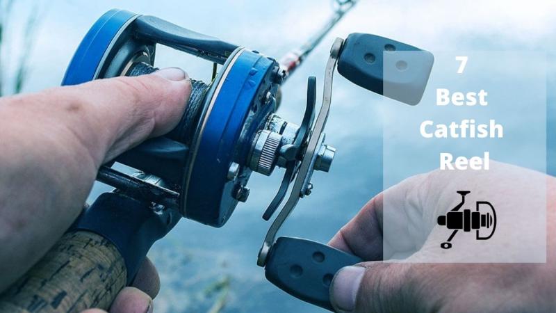 The Best Freshwater Fishing Reels to Buy This Season: How to Choose the Perfect Reel for Your Needs