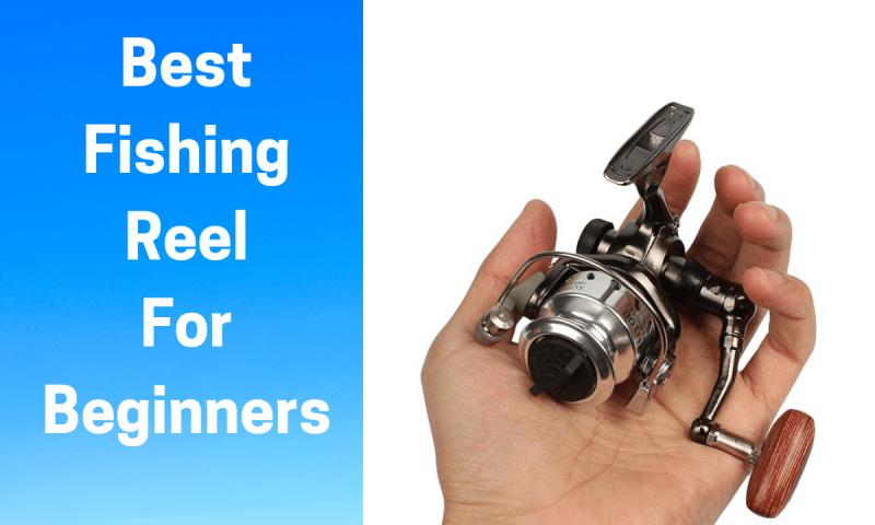 The Best Freshwater Fishing Reels to Buy This Season: How to Choose the Perfect Reel for Your Needs