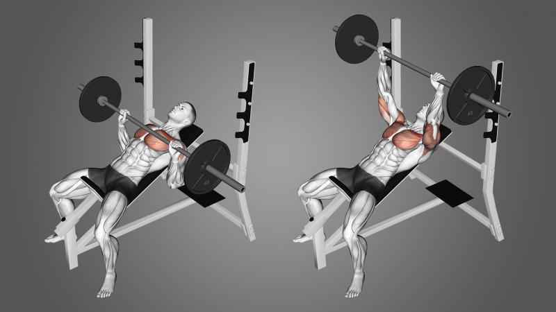 The Best Home Bench Press Machines in 2023: Transform Your Chest and Arms at Home