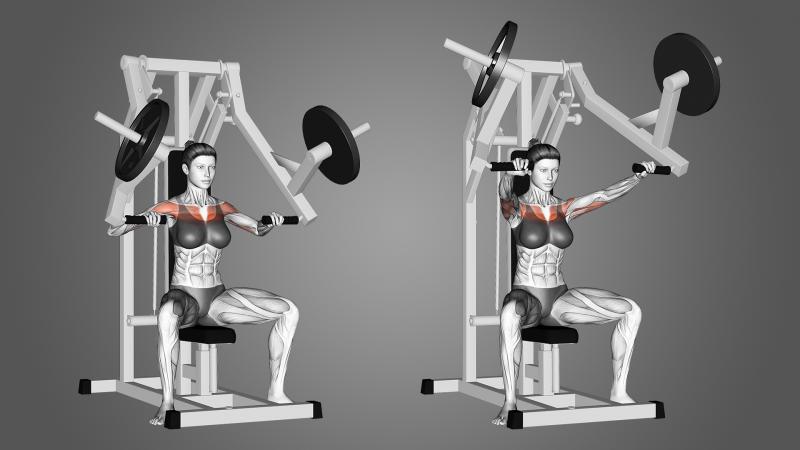 The Best Home Bench Press Machines in 2023: Transform Your Chest and Arms at Home