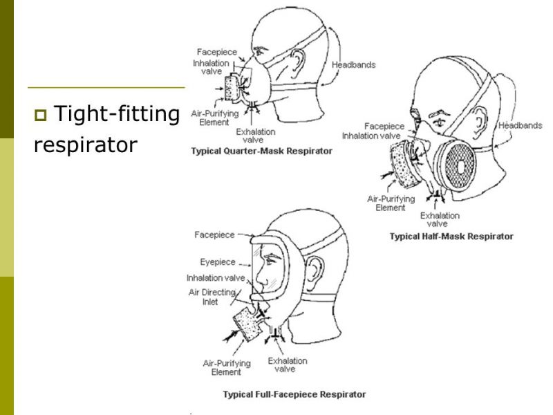 The Best in Head Protection An InDepth Look at the Cascade S Helmet