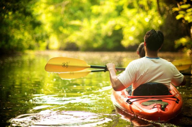 The Best Kayaks For Your Family of 4: How To Pick The Perfect Option for Adventures on The Water