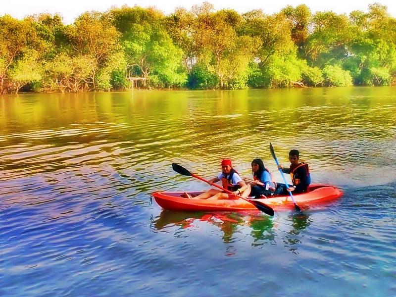 The Best Kayaks For Your Family of 4: How To Pick The Perfect Option for Adventures on The Water