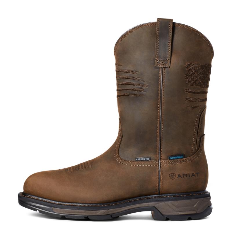 The Best Western Boots for Any Weather in 2023: Why Ariat