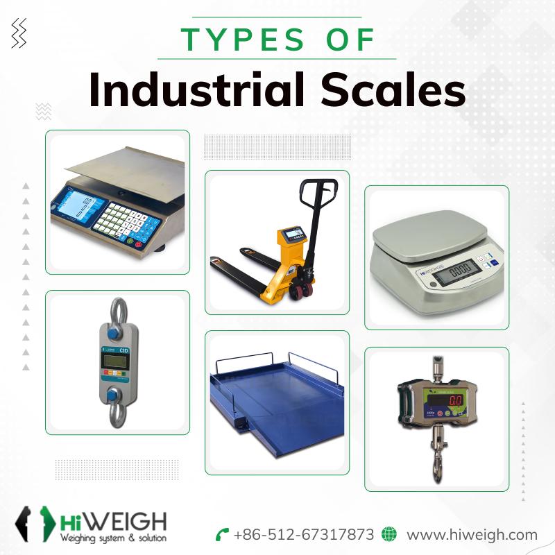 The Best Wild Game Scale For Hunters: How To Choose A 55 lb Capacity Hunting Weighing Scale