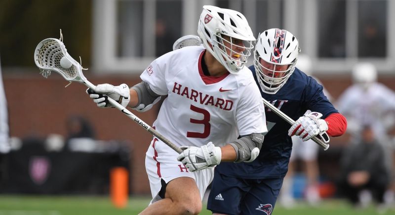The Essential Lacrosse Guide for Harvard Fans